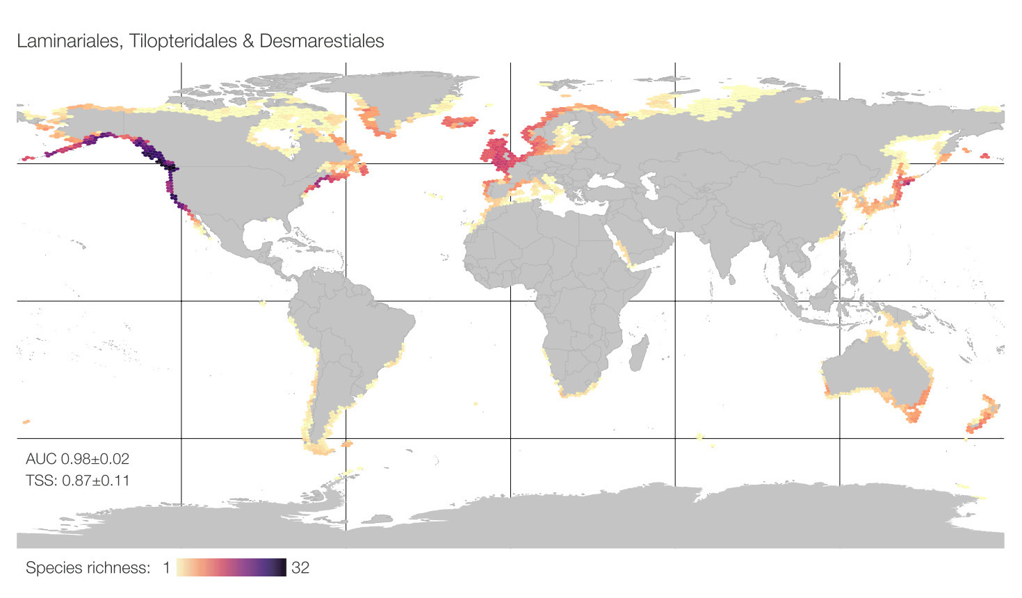 Global biodiversity patterns of marine forests