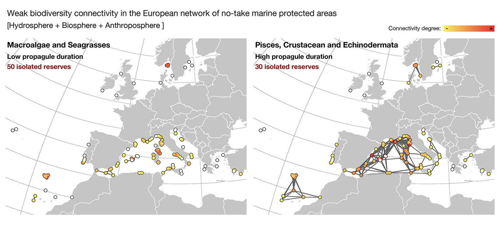 Network of marine protected areas