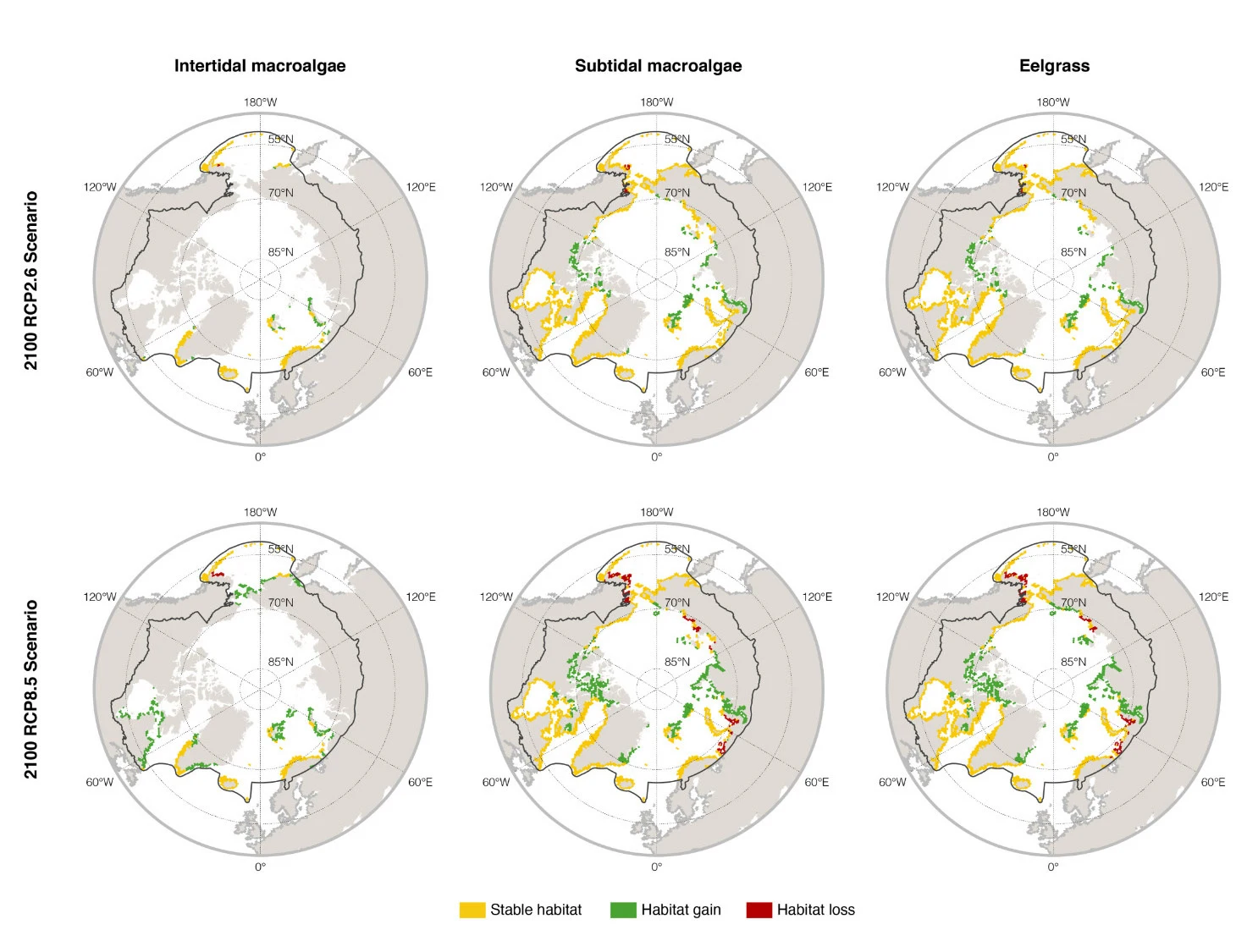 Expansion of marine forests in a warmer Arctic